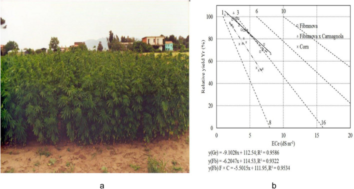 Experimental plot of Cannabis Sativa L. for fiber (a) and comparison of relative yield between silage grain maize and fiber hemp (cv. Fibranova and cv. Fibranova × Carmagnola) in relation to soil conductivity (ECe) (b). Agronomic trial tests were carried out in the Volturno Plain at the experimental farm in Vitulazio (CE), of the CNR- Institute of Agricultural and Forestry Systems in the Mediterranean located in Ercolano (NA) in 2000 (a) and 2002 (b). Unpubblished data of 2002 courtesy of Dr. Anna Tedeschi CNR-IBBR