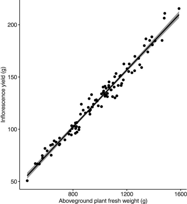 Correlation between inflorescence yield (g/plant) and aboveground plant fresh weight (g/plant) of Cannabis sativa (r = 0.98, P < 0.001). Shaded area represents 95% confidence interval.
