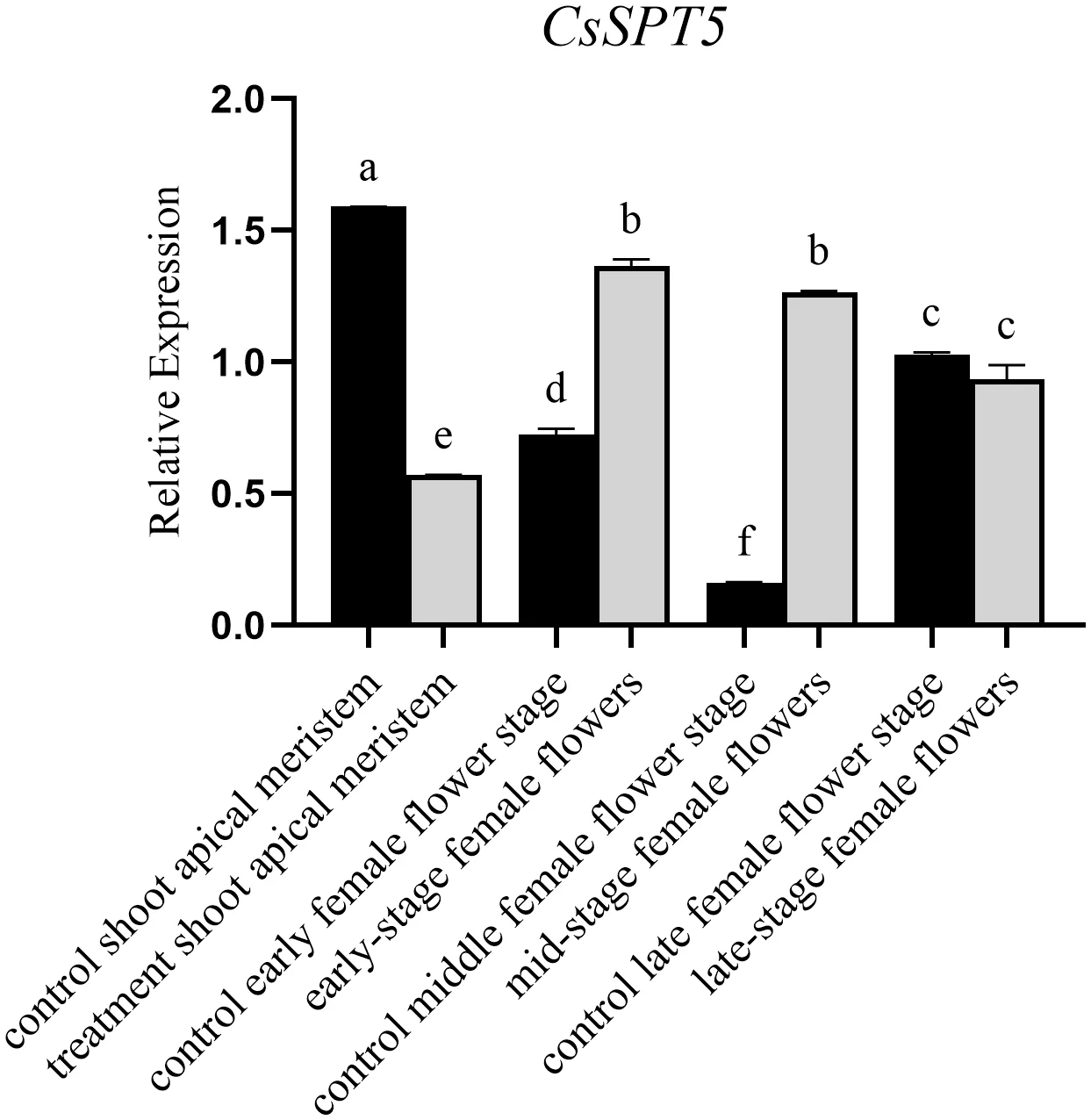 This bar chart shows the relative expression levels of CsSPT5 in control and 6-BA-treated industrial hemp at the shoot apical meristem and the early, middle, and late stages of female flower development. Black bars represent the control group, and gray bars represent the 6-BA-treated group. The highest expression occurs in the control shoot apical meristem, whereas the lowest expression occurs in control middle-stage female flowers. Treatment with 6-BA decreases CsSPT5 expression at the shoot apical meristem but increases it at the early and middle flower stages. Error bars and lowercase letters indicate variability and statistically significant differences among groups.
