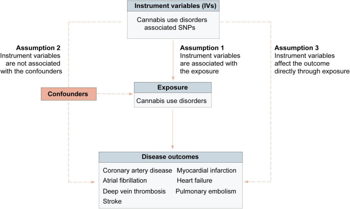 Mendelian randomization assumptions overview.
