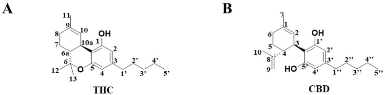 The chemical structure of compounds in (A) THC and (B) CBD.