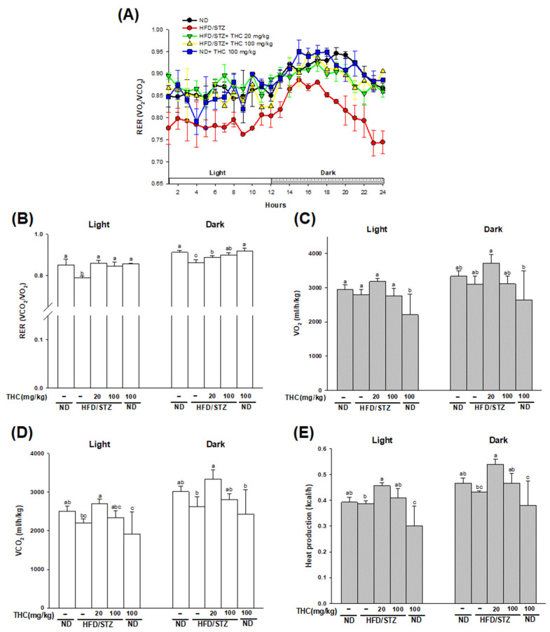 Effect of THC intervention on whole-body energy metabolism in HFD/STZ treated mice. Indirect calorimetry was performed on the TSE system. (A) Respiratory exchange ratios (RER = VCO2/VO2) during a 24h period. (B) Average RER, (C) O2 consumption, (D) CO2 production and (E) heat production during the light and dark phase was calculated. Data are presented as mean ± SEM (n = 4–5). Statistical differences (p < 0.05) between groups were evaluated by one-way ANOVA with Tukey’s post-hoc test and were labeled as different letters (a, b, and c).