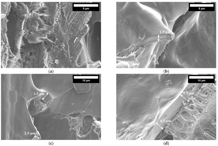Microstructure of the board using different amounts of starch: (a) 5% (magnification ×10,000); (b) 10% (magnification ×10,000); (c) 15% (magnification ×5000), and (d) 20% starch (magnification ×5000).