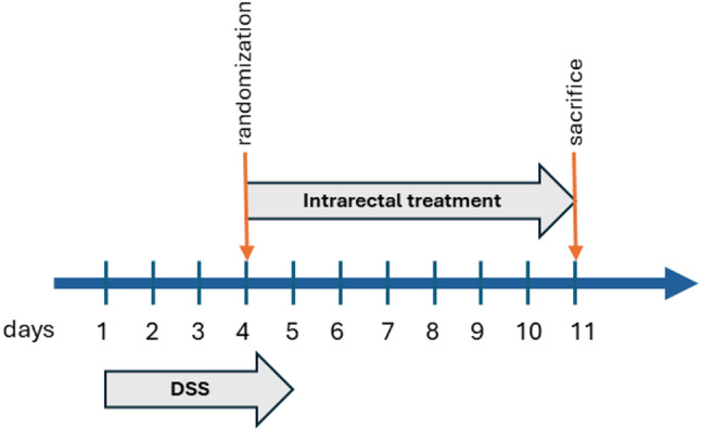 Experimental timeline and treatment regimen. Colitis was induced by 2.5% DSS in drinking water (Day 0–5). Rectal treatments were administered daily from Day 4 to Day 11. Animals were randomized to receive saline, HA, CBD, Na-P, or CBD + Na-P. Animals were sacrificed on Day 11