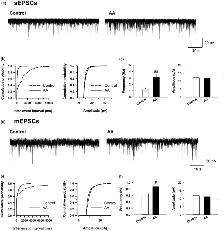sEPSCs and mEPSCs recorded in the OXT-mRFP1 neurons in control and AA rats. (a, d) Representative sEPSCs and mEPSCs recorded in the OXT-mRFP1 neuron in slices from a control rat (left) and AA rat (right) at a holding potential of −60 mV. Cumulative interevent interval (left) and amplitude (right) histograms of sEPSCs (b) and mEPSCs (e) recorded in slices from control rats (sEPSCs; n = 13 neurons/6 rats, mEPSCs; n = 34 neurons/9 rats) and AA rats (sEPSCs; n = 12 neurons/6 rats, mEPSCs; n = 36 neurons/9 rats). (c and f) Summary frequency (left) and amplitude (right) of sEPSC and mEPSCs data. #p < 0.05 and ##p < 0.01 compared with control. AA: adjuvant arthritis; mEPSC: miniature excitatory postsynaptic current; sEPSC: spontaneous excitatory postsynaptic current.