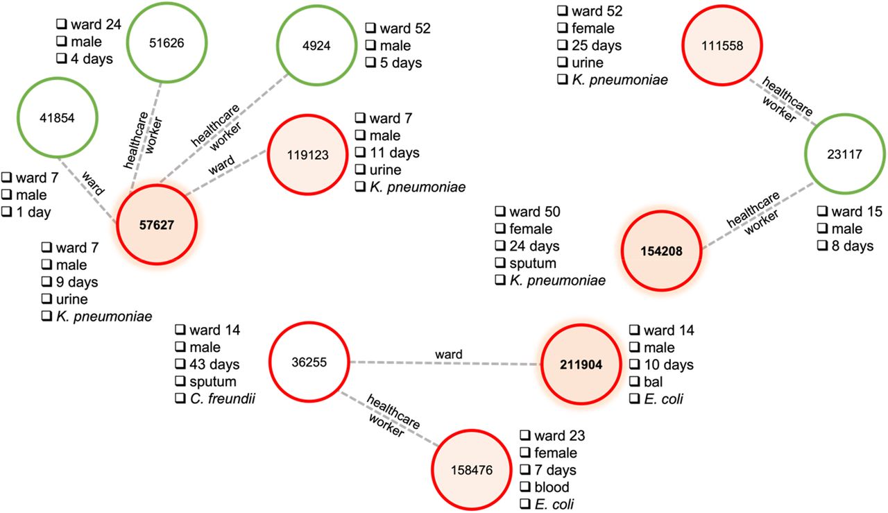 Bacteria transmission scenarios via graph paths. Green nodes: non-colonised patients; red nodes: colonised patients.
