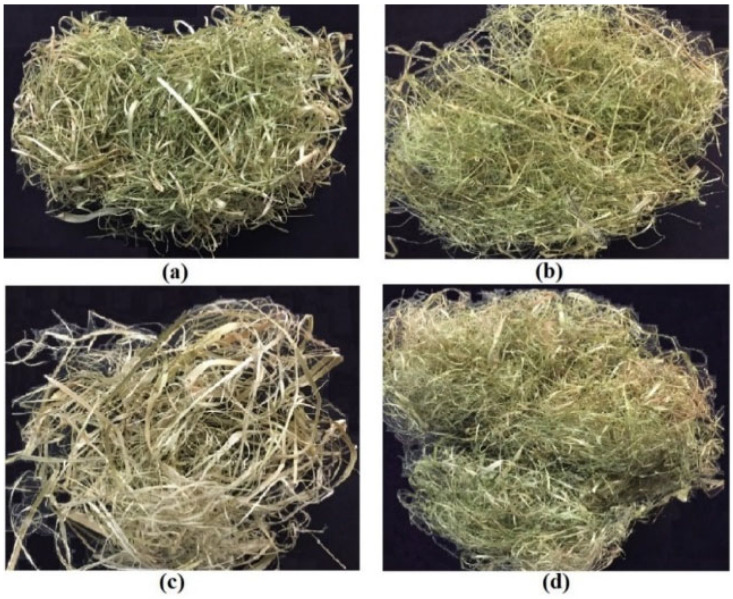 (a) Canola fiber; (b) Sweet clover fiber; (c) Hemp fiber; and (d) Flax fiber.