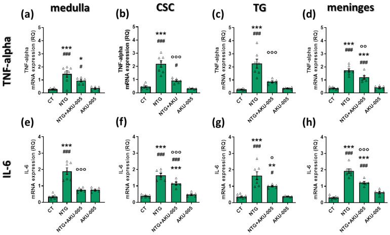 mRNA expression levels of (a–d) TNF-alpha and (e–h) IL-6 in the medulla, cervical spinal cord (CSC), trigeminal ganglion (TG), and meninges. Data are expressed as mean ± SEM. One-way ANOVA followed by Tukey’s multiple comparisons test; * p < 0.05, ** p < 0.01 and *** p < 0.001 vs. CT; ° p < 0.05, °° p < 0.01 and °°° p < 0.001 vs. NTG; # p < 0.05 and ### p < 0.001 vs. AKU-005. Individual subjects’ values are represented as triangle; N = 6–8.