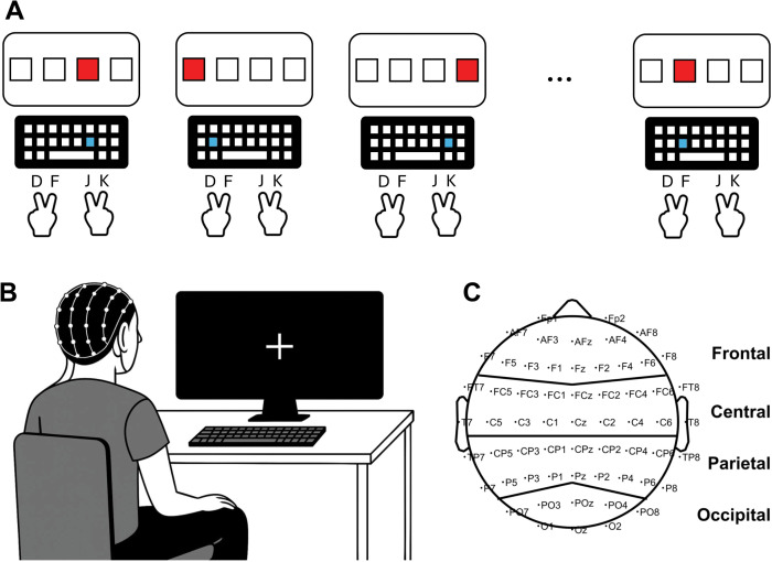 Experimental setup.A) In the serial reaction time (SRT) task, when one of the four squares on the screen turned red, the participant immediately pressed the spatially corresponding key as quickly and accurately as possible. Participants placed their fingers on the “D” (left middle finger), “F” (left index finger, “J” (right index finger), and “K” (right middle finger). B) Resting state EEG activity was recorded while participants had their eyes closed. C) The scalp montage depicts the arrangement of the 64 electrodes according to the international 10-20 system and the definition of the four cortical regions (i.e., frontal, central, parietal, and occipital regions).