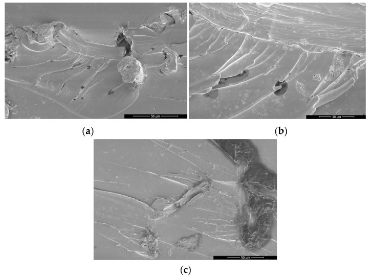 Micrographs of the composites epoxy/APTS functionalized hemp fibers: (a,c) 50 µm scale and its detail, (b) region at 10 µm.