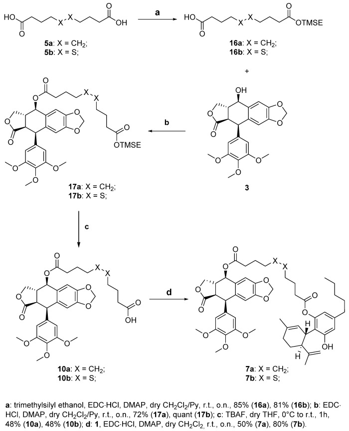 Synthesis of the podophyllotoxin-CBD conjugates 7a,b.
