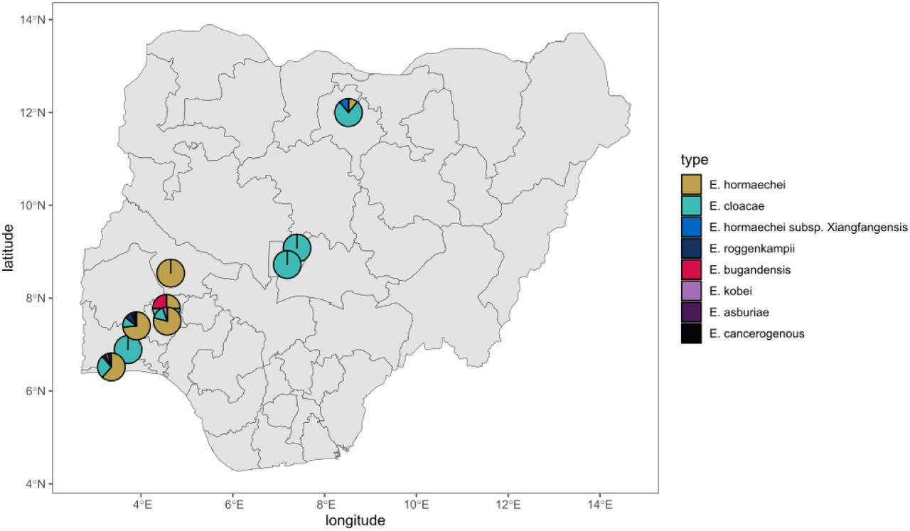 Geographic source of genome-sequenced Enterobacter in Nigeria. Isolates originated from southwestern Nigeria (This study) and north and central Nigeria (Sands et al, 2021)