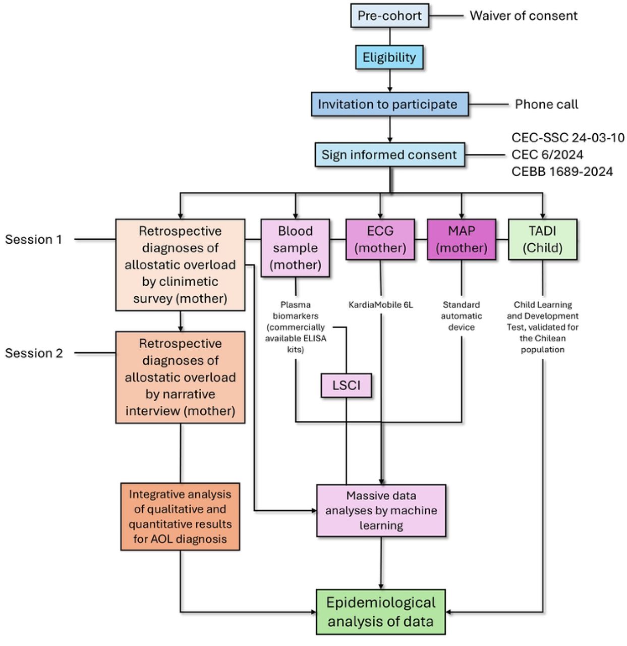Design of the study.Historical cohort design, focusing on pregnant women during the COVID-19 pandemic (2020-2021). A pre-cohort will be established from clinical data (waiver of consent was approved by the Ethics and Scientific Committee of the Concepción Health Service), and eligibility will be determined according to inclusion and exclusion criteria. Mothers will be invited to participate via phone, and informed consent will be signed for her and their child (CEC-SSC 24-03-10, CEC 6/2024, CEBB 1689-2024). The clinimetric survey will be applied to the mother in session one, and the blood sample, ECG, and MAP will be taken. TADI will be applied to the children in a different room. In session two, the narrative interview (first 20 mothers) and later, the quantitative and qualitative data will be analysed to determine the diagnosis of allostatic overload. The blood sample will be frozen (-80∘C) until used to assess plasma biomarkers concentration by ELISA. Participants with significant alterations in endothelial dysfunction biomarkers will be invited to a follow-up session to assess the endothelium-dependent vasodilatation using Laser Speckle Contrast Imaging (LSCI). The quantitative data from the clinimetric survey, plasma biomarkers, ECG and MAP will be analysed using machine learning tools. Finally, the information on allostatic overload, machine learning results and TADI will be analysed using epidemiological methods.