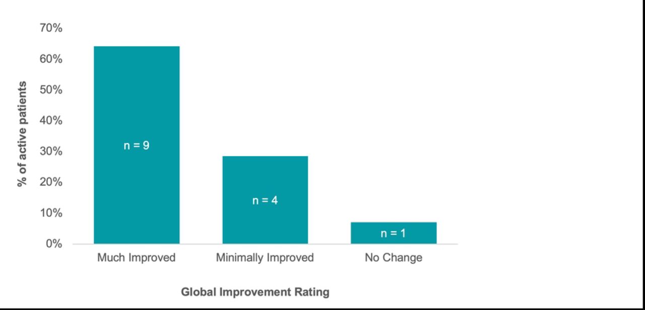 Clinical Global Impression – Global Improvement.