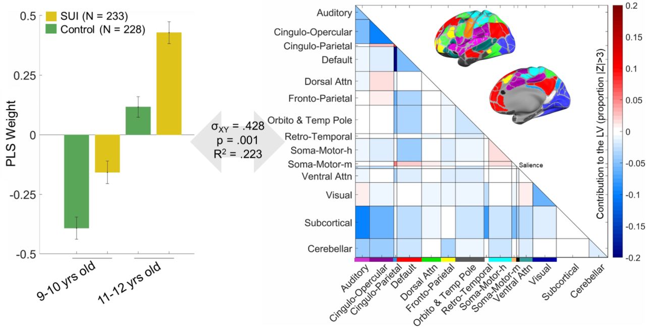 Results of the Partial Least Squares analysis when one run at each time-point for each participant was used to equalize the amount of data used per participant.In the left panel, the group by time PLS weights in the latent variable are shown. The SUI group is in yellow, and the control group is in green; the first two columns show the loadings at 9–10 years of age and the second pair of columns show the loadings at 11-12 years of age. The right panel shows the extent to which the connections across and within brain networks load onto the PLS latent variable. The cortical networks are color-coded, and their anatomical mapping can be seen in the brain surface maps. Networks are defined according to [55]; the ‘unassigned’ set of connections in [55] is labeled here as ‘Orbito and Temp Pole’ as it falls in the orbitofrontal cortex and the temporal pole. The somato-motor networks are labeled with ‘h’ for hand and ‘m’ for mouth. The cross-block covariance is shown as σXY, and represents the squared singular value for this LV divided by the sum of squared singular values for all LVs. P value is determined by 1000 permutations, and the R2 here is the squared Pearson’s correlation (between the left and right-hand sides of the LV (i.e. U and V scores). Z values in the right panel and the error bars in the left panel are estimated using 1000 bootstraps (see methods).