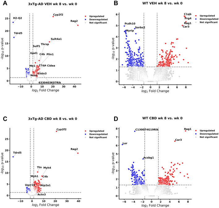 Four volcano plots compare gene expression changes. Each plot shows log2 fold change versus negative log10 p-value. Panel A: 3xTg-AD VEH week 8 vs. week 0, Panel B: WT VEH week 8 vs. week 0, Panel C: 3xTg-AD CBD week 8 vs. week 0, Panel D: WT CBD week 8 vs. week 0. Red points indicate upregulated genes, blue for downregulated, and gray for not significant. Key genes are labeled.