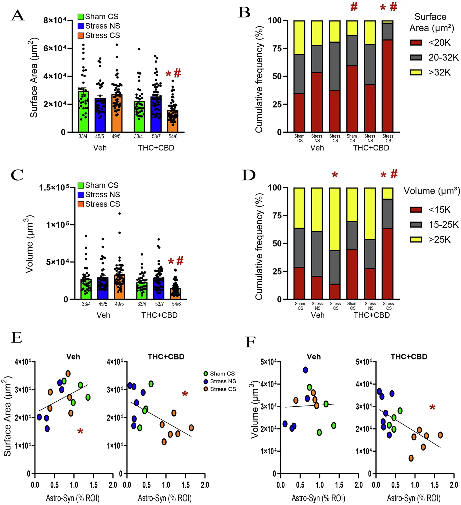 THC+CBD use induced astrocyte atrophy after the stress-CS exposure in males.A Stress-CS decreased the surface area in THC + CBD-trained rats (X2(5) = 26.15, p = 0.0001, R2m = 0.184). Data are shown as mean ± SEM. N shown in legend as astrocytes/animal. * p < 0.05 compared to Sham-CS within each drug group; # p < 0.05 comparing THC + CBD to vehicle within each stress/sham group. B THC + CBD use increased the subpopulation of astrocytes with small surface area in Sham rats (X2(2) = 14.33, p = 0.0008 versus Sham-CS Veh), which was further augmented by stress-CS exposure (X2(2) = 15.19, p = 0.0005 versus Sham-CS THC + CBD). * p < 0.05 compared to Sham-CS within each drug group; # p < 0.05 comparing THC + CBD to vehicle within each stress/sham group using a Bonferroni correction. C Stress-CS decreased the volume in THC + CBD-trained rats (X2(5) = 32.86, p < 0.0001, R2m = 0.2228). Data are shown as mean ± SEM. N shown in legend as astrocytes/animals. * p < 0.05 compared to Sham-CS within each drug group; # p < 0.05 comparing THC + CBD to vehicle within each stress/sham group. D Stress-CS increased the subpopulation of astrocytes with large volume in vehicle-trained rats (X2(2) = 13.33, p = 0.001 versus Sham-CS Veh), and the effect of stress-CS was reversed following THC + CBD use (X2(2) = 64.4, p < 0.0001 versus Stress-CS Veh). * p < 0.05 compared to Sham-CS within each drug group; # p < 0.05 comparing THC + CBD to vehicle within each stress/sham group using a Bonferroni correction. E THC + CBD changed a positive correlation between astrocyte-Synapsin-I colocalization and surface area (left; Pearson r = 0.486, p = 0.039) into a negative one (right; Pearson r = −0.512, *p = 0.0177). F Astrocyte-Synapsin-I colocalization negatively correlated with volume following THC + CBD use (Pearson r = −0.612, *p = 0.0039).