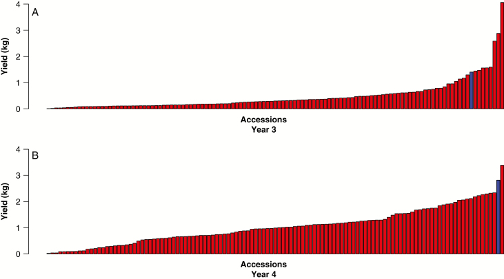 Bar charts showing dry matter yield (DMY) of 101 accessions from the Asia-2006 collection as part of a 1000-plant three times replicated association mapping trial based at Aberystwyth, UK in year 3 (A) and year 4 (B). Red bars are the Asia-2006 accessions and the blue bar denotes the control M. × giganteus grown in the same trial.