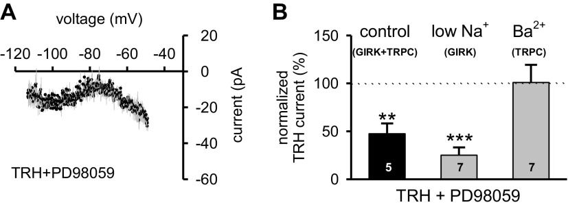 TRH-induced activation of GIRK-like channels involves MAPK. A: the mean I-V relationship of the net TRH-generated current in the presence of PD98059 (50 μM for 15 min; n = 5; black circles) obtained by subtracting control membrane current responses from those in TRH. Data are presented as means (black circles) ± SE (gray lines). Note that the I-V relationship does not display a reversal under these experimental conditions. B: summary histogram of normalized amplitude of TRH-induced currents in the presence of PD98059 in three different external media: control ACSF (expressing GIRK+TRPC currents; black bar), ACSF where NaCl was replaced with Tris-Cl to isolate GIRK-like channels (low Na+- GIRK), and ACSF with 1.3 mM Ba2+ to isolate TRPC-like channels (1.3 mM Ba2+-TRPC). Note that there was no current reduction when TRPC-like channels were isolated. Data are expressed as means ± SE. **P < 0.01; ***P < 0.001; number reflects cells tested in each condition.