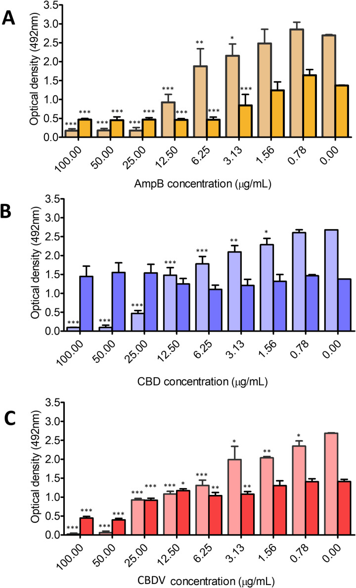 Phytocannabinoids disrupt both developing and mature biofilms of C. neoformans.The effect of treatment with various concentrations of (A) CBD, (B) CBDV, or (C) AmpB on C. neoformans H99 biofilm formation (shown on the left, in lighter tone) or mature biofilm dissipation (biofilm grown for 48 hr; shown on the right, in darker tone). Metabolic activity was measured by the XTT reduction assay; data presented are the means of three XTT measurements ± SD. Optical density observed from different concentrations of compounds were compared to the control (media only without adding AmpB, CBD, or CBDV) by one-way ANOVA (*p < 0.01, ** p < 0.001, and *** p < 0.0001).