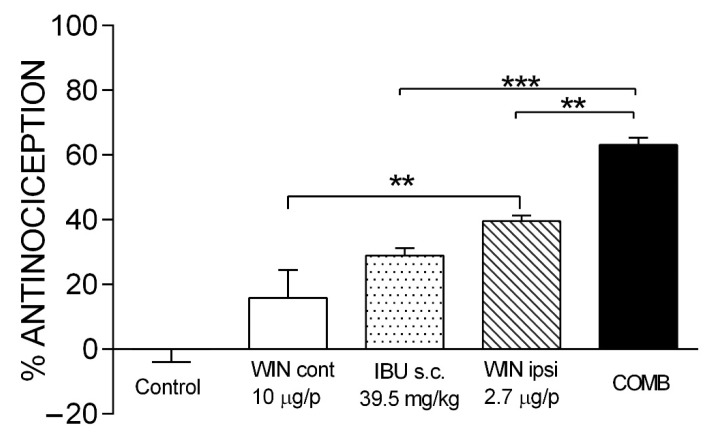 The antinociceptive effect of maximal efficacy COMB. The individual effects of IBU and WIN are shown as well as those of COMB. WIN was administered on both the ipsilateral paw (WIN ipsi) and contralateral paw (WIN cont) in the formalin model. There was no statistically significant difference between WIN cont and the control. Groups showing significant differences after one-way ANOVA were WIN ipsi compared with WIN cont (** p < 0.01), COMB compared with IBU (*** p < 0.001), and COMB compared with WIN ipsi (** p < 0.01). Each bar corresponds to the mean of six repetitions ± SEM.