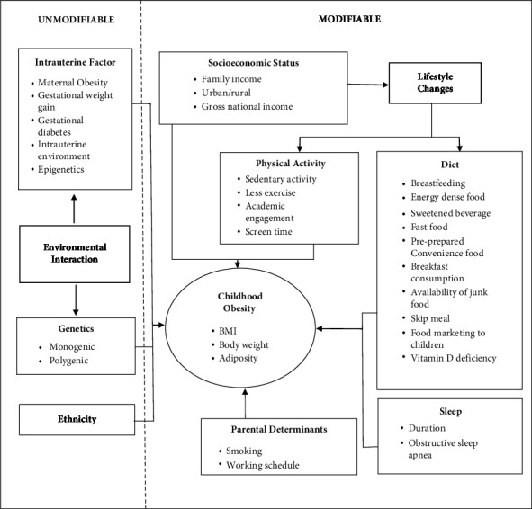 Multifactorial influences of childhood obesity. Source: Ang et al. [12]. Reprinted from Multifactorial Influences of Childhood Obesity, authored by Ang, Y. N., Wee, B. S., Poh, B. K., & Ismail, M. N. (2012). Permission to use this figure was granted by the publisher under a licensing agreement (license number: CC-BY-NC-SA 5737700641356).