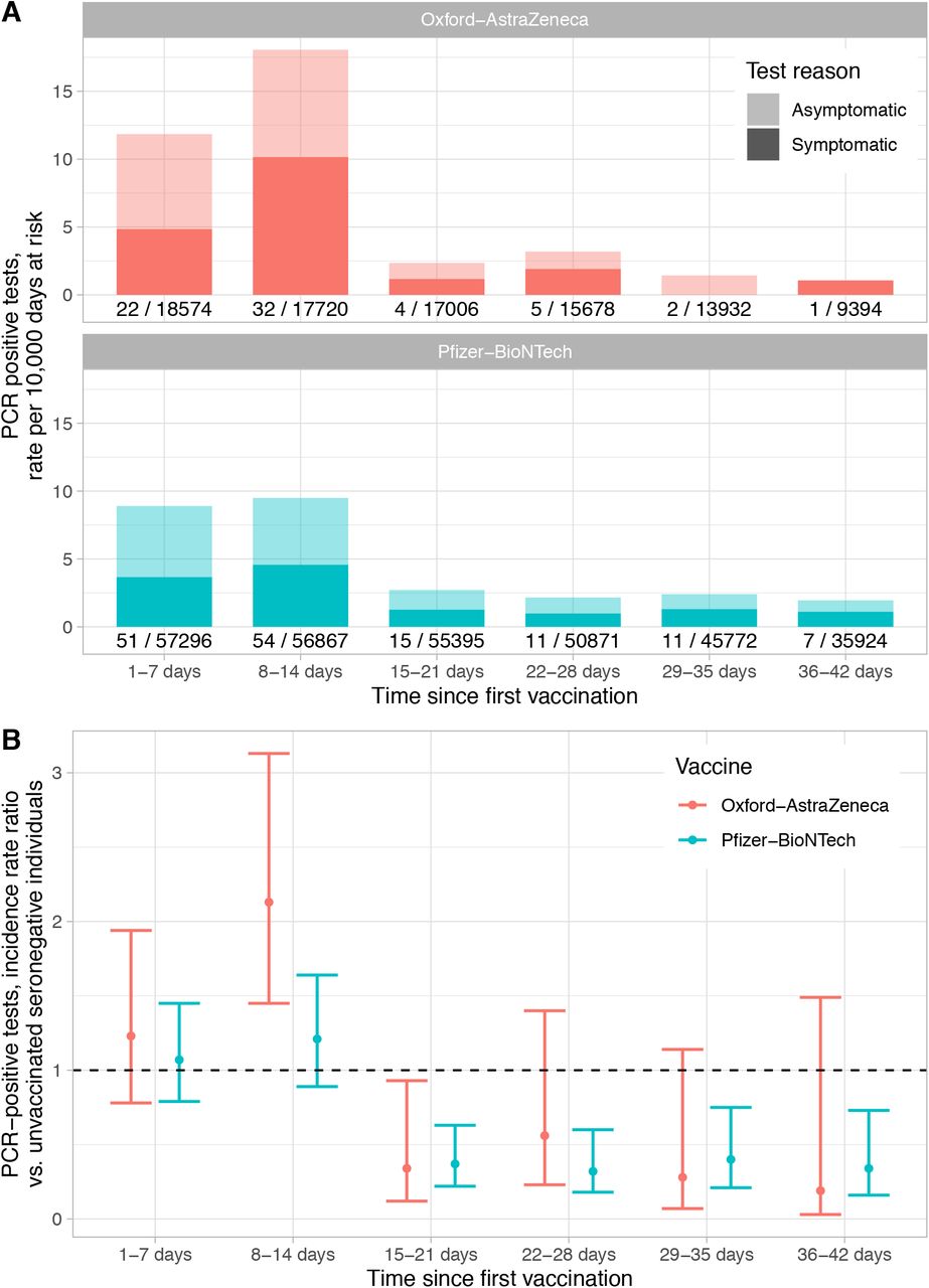 PCR-positive results following first vaccination.Panel A shows observed rates of symptomatic and asymptomatic PCR-positive results; counts and days at risk plotted under each bar. Panel B shows the relative incidence of PCR-positive results by vaccine and days since first vaccine compared to rates in unvaccinated seronegative HCWs. For both plots follow-up is censored if a second vaccination was given.