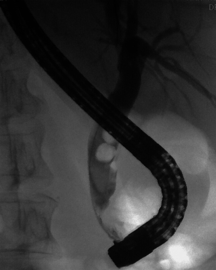 PMC11996019 – FI_Ref192766630