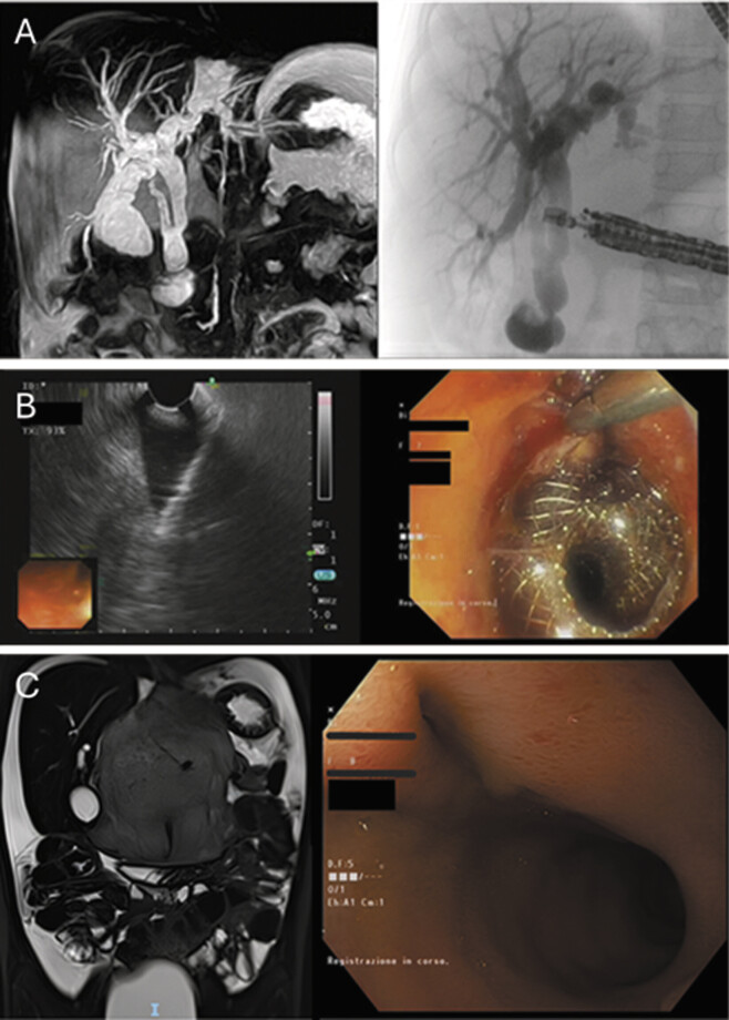 PMC12324853 – FI2024120778cr-2