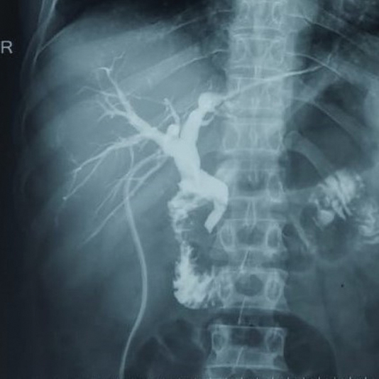 PMC8440054 – FI2000128cr-1