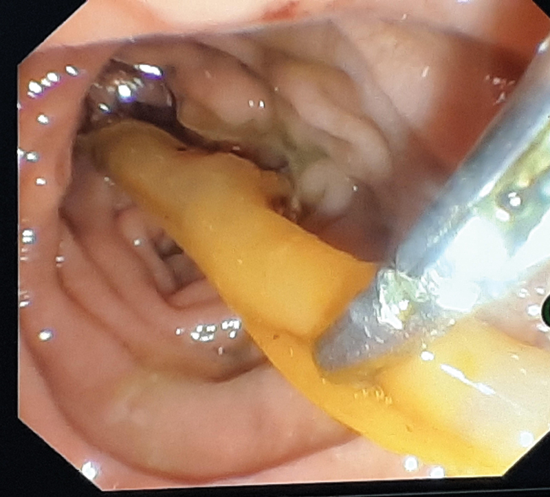 PMC8440054 – FI2000128cr-3