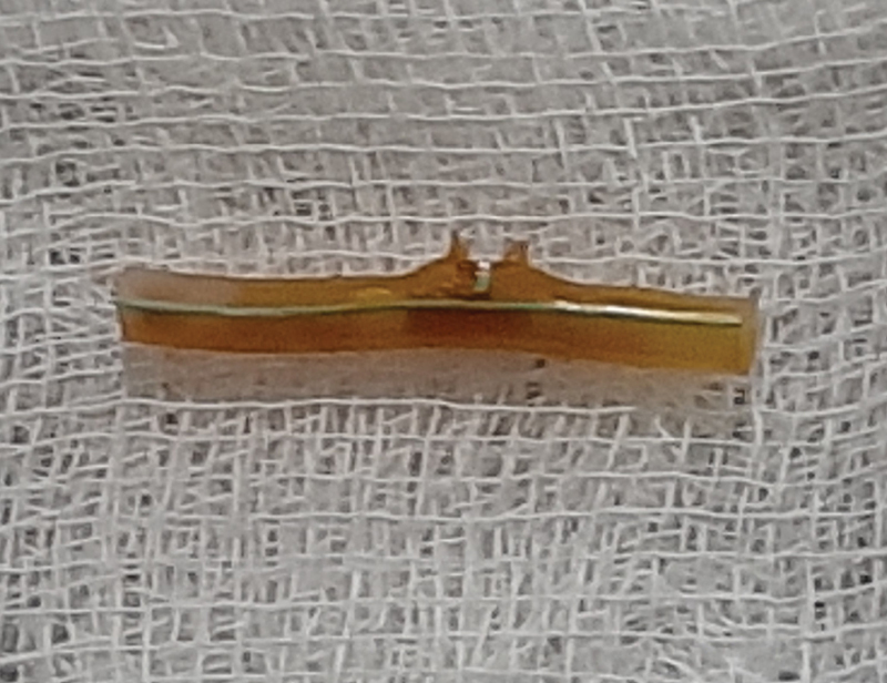 PMC8440054 – FI2000128cr-4