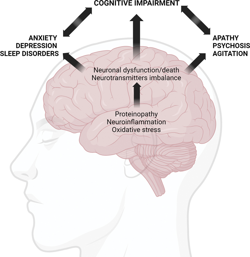PMC10756775 – FI230228-1