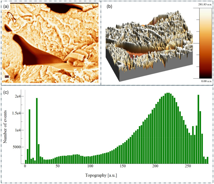 PMC12536183 – fig10-00368504251352072