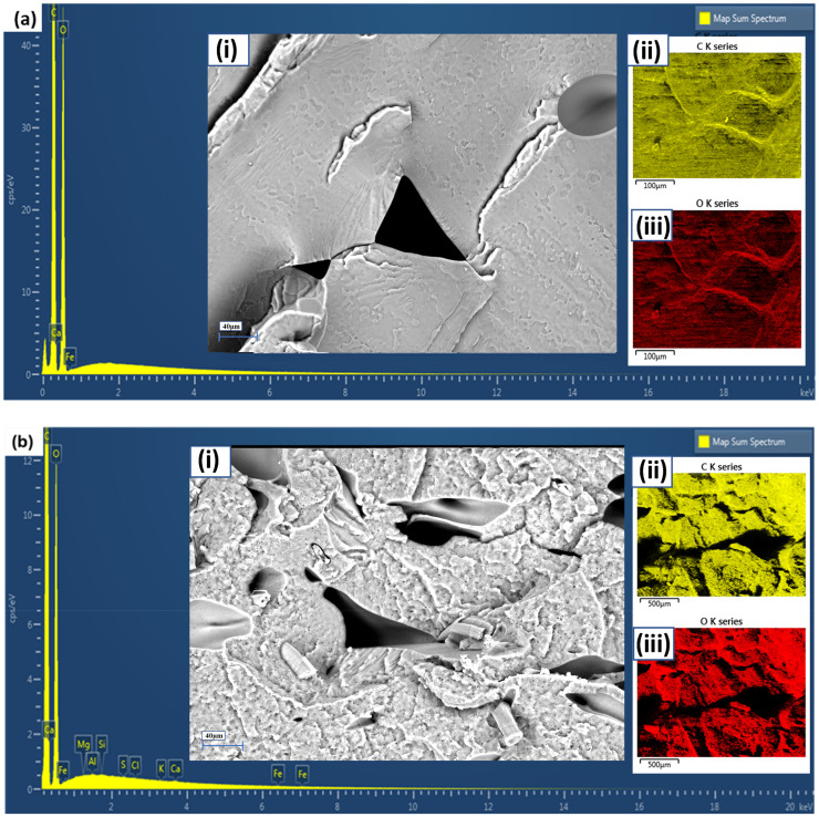 PMC12536183 – fig11-00368504251352072
