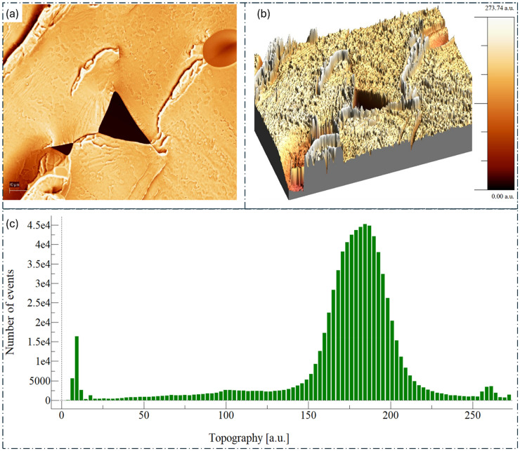 PMC12536183 – fig9-00368504251352072
