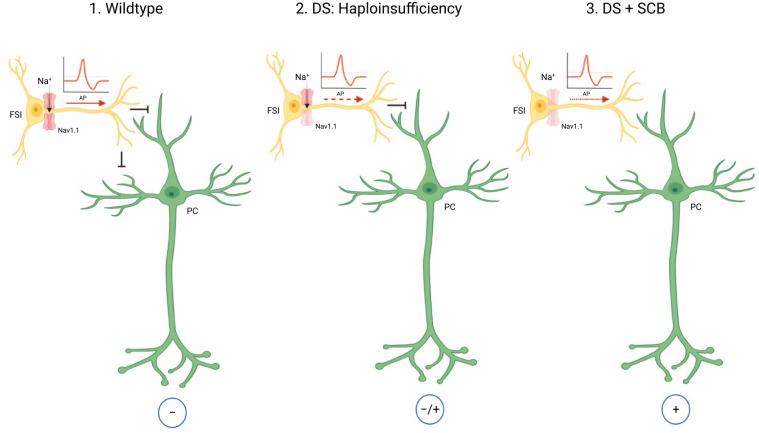 PMC10623613 – fig4-10738584221088244