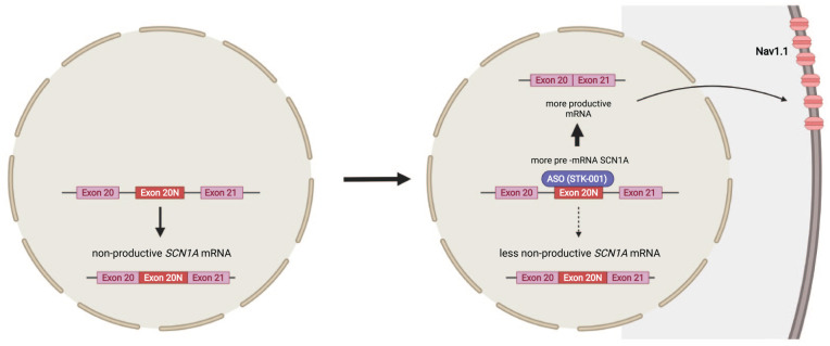 PMC10623613 – fig5-10738584221088244