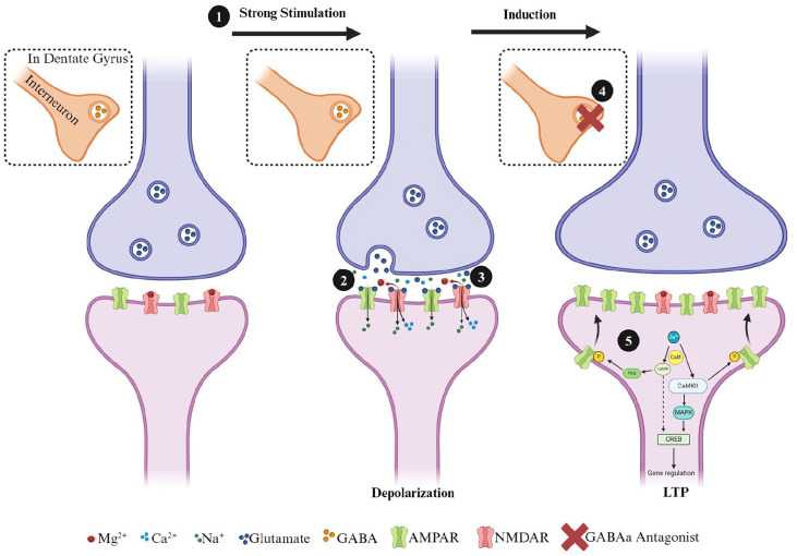 PMC11909778 – fig1-10738584241275583