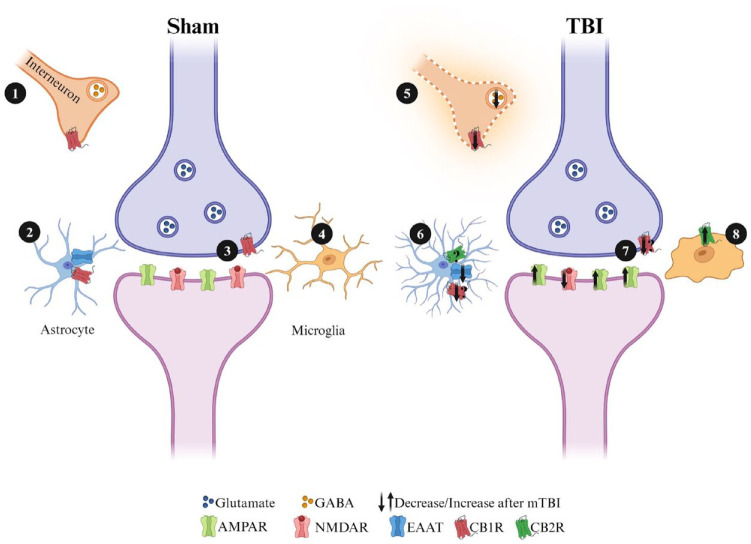 PMC11909778 – fig5-10738584241275583
