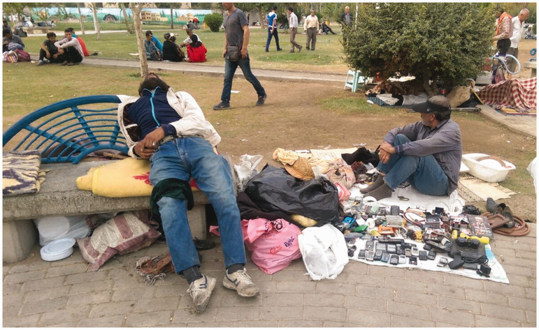 PMC7250651 – fig7-1466138118787534