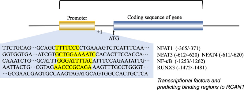 PMC9206313 – Fig3