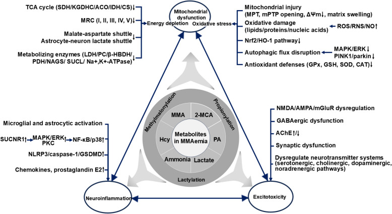 PMC12659462 – Fig2