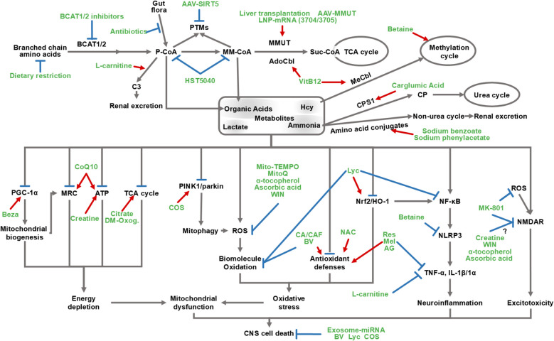 PMC12659462 – Fig3