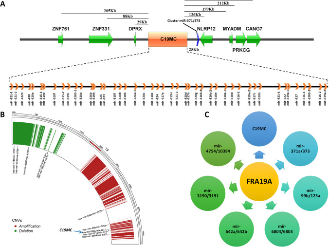 PMC10404189 – Fig1