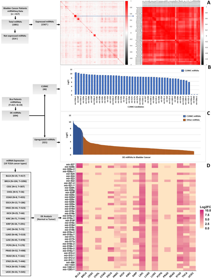 PMC10404189 – Fig2