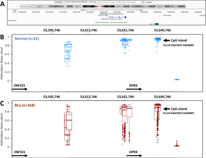 PMC10404189 – Fig4