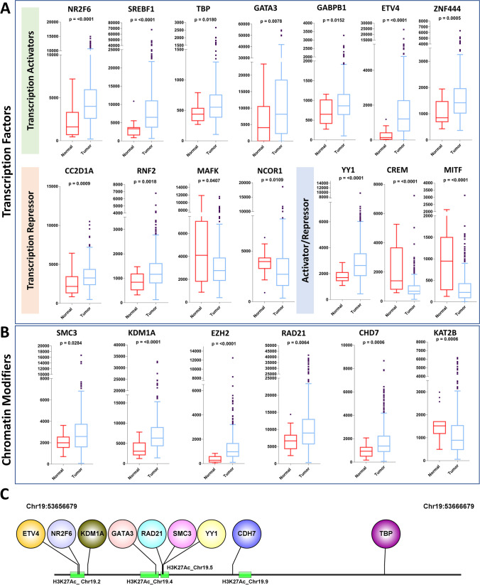 PMC10404189 – Fig5