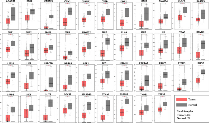 PMC10404189 – Fig6
