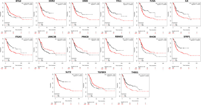 PMC10404189 – Fig7